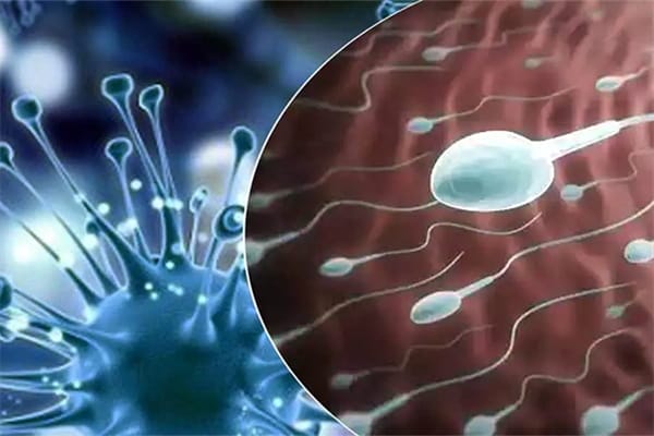 国内能给HIV男性做试管吗？艾滋病洗精试管婴儿多少钱？患有HIV可以做三代试管吗？