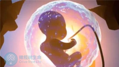 国内试管婴儿费用大约多少，试管婴儿详细费用明细，试管婴儿全部流程时间