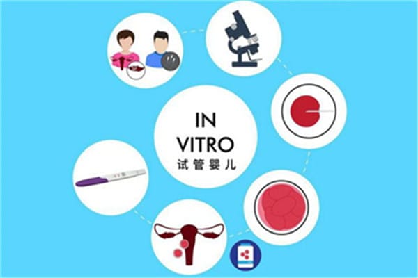 泰国试管婴儿费用成本？泰国试管婴儿可以包成功吗？费用由什么决定？