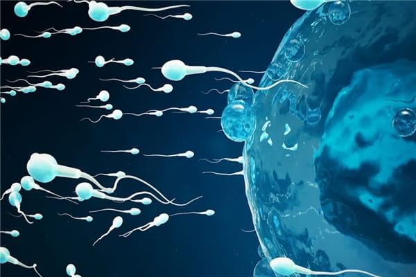 什么是精子DNA碎片率？试管婴儿需要要花多少钱？需要哪些步骤？