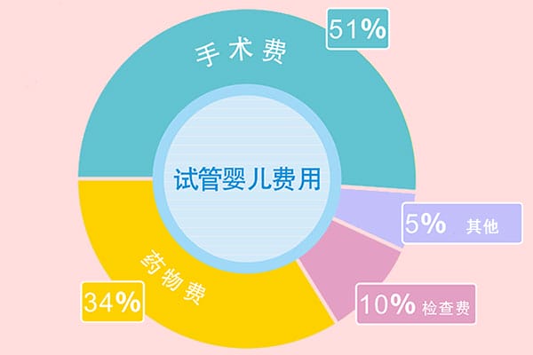 泰国试管婴儿具体有哪些项目？在泰国做试管婴儿花销大吗？试管婴儿费用需要多少钱?