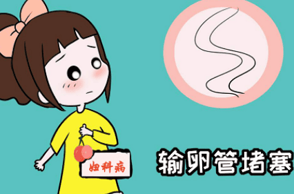 慢性输卵管炎症的症状，慢性输卵管炎症影响做试管婴儿吗？做试管婴儿需要花多少钱？