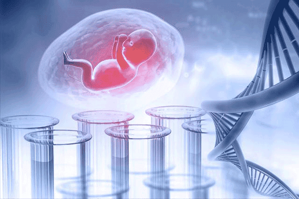 试管婴儿鲜胚移植是什么意思？什么条件可以移植鲜胚？试管鲜胚移植费用构成？