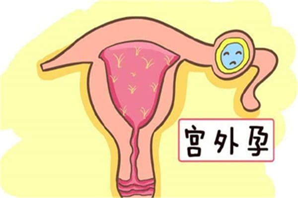 试管婴儿：孕育希望之光，费用与风险双重考量