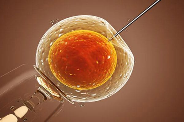 胚胎碎片率高是什么原因造成的？深度解析试管婴儿费用背后的健康挑战
