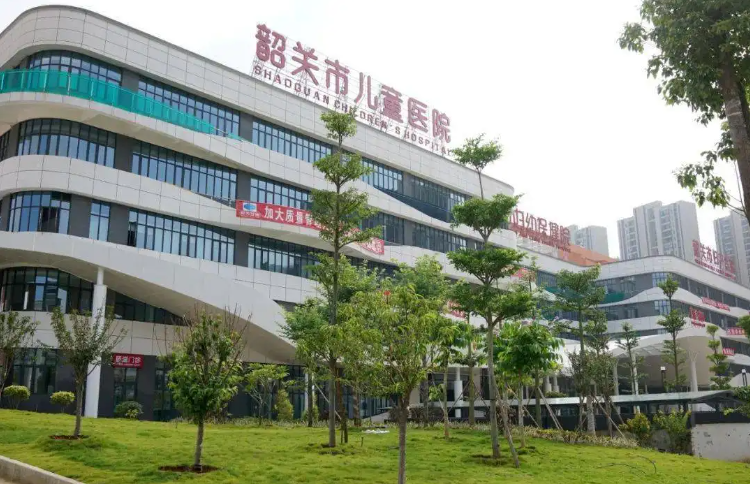 揭秘国内试管之路：费用明细与性价比之选