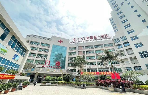 在深圳做卵子试管需要多少钱？深圳卵子费用明细是怎么样的